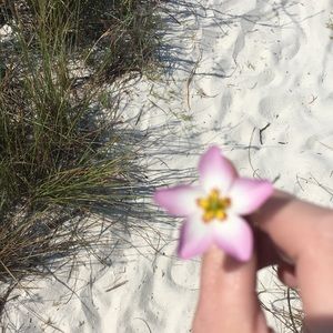 Meet your Posher, Meghan